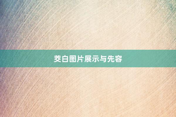 茭白图片展示与先容