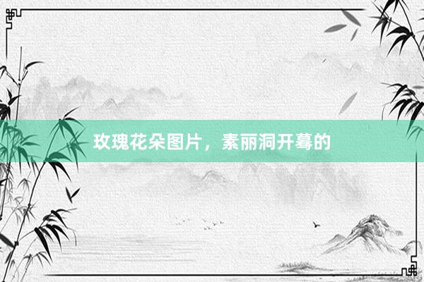 玫瑰花朵图片，素丽洞开蓦的