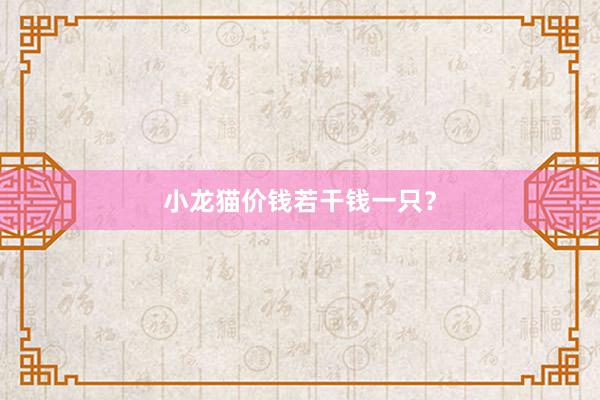 小龙猫价钱若干钱一只？