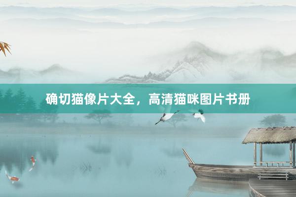 确切猫像片大全，高清猫咪图片书册