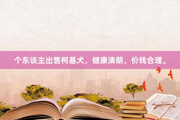 个东谈主出售柯基犬，健康清朗，价钱合理。